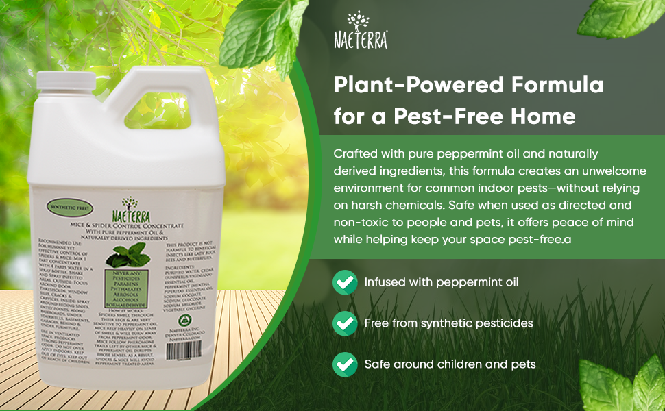 Mice & Spider Control Concentrate