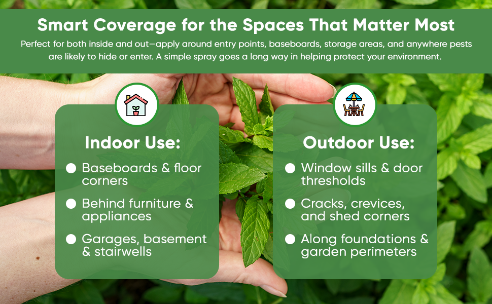 Mice & Spider Control Concentrate