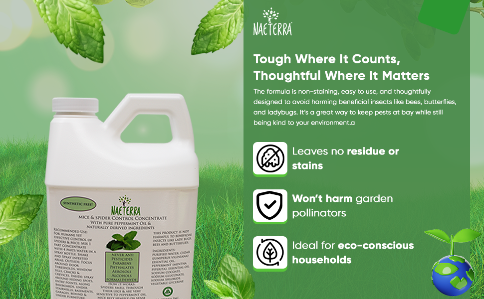 Mice & Spider Control Concentrate