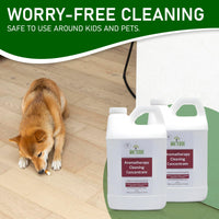 Naeterra Aromatherapy Cleaning Concentrate| Synthetic Free, Plant-Based | Loaded with Essential Oils | Makes 48 Gallons | Amazing Fragrance | No Harsh Chemicals | Multi-Purpose Cleaner | 2 x 64 Oz