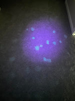 Atomic Orange Dog Mess Clean Up Kit - Useful for Dog & Puppy House Training - with UV Light - Concentrated - Makes 96 oz