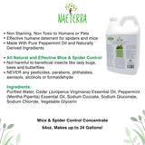 Mice & Spider Control Concentrate